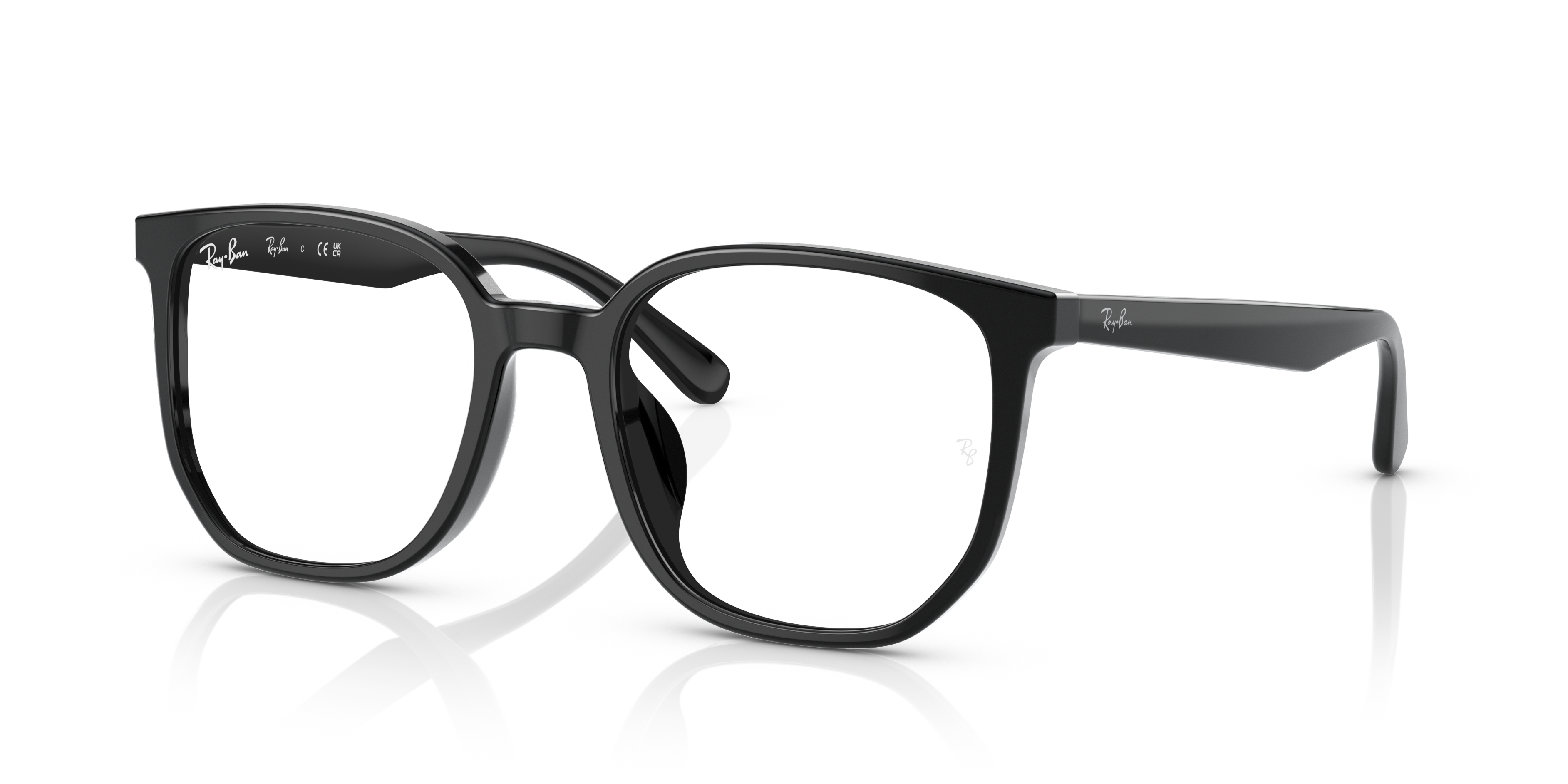 Astucci ricambio originale Ray-Ban ZRX5411D40