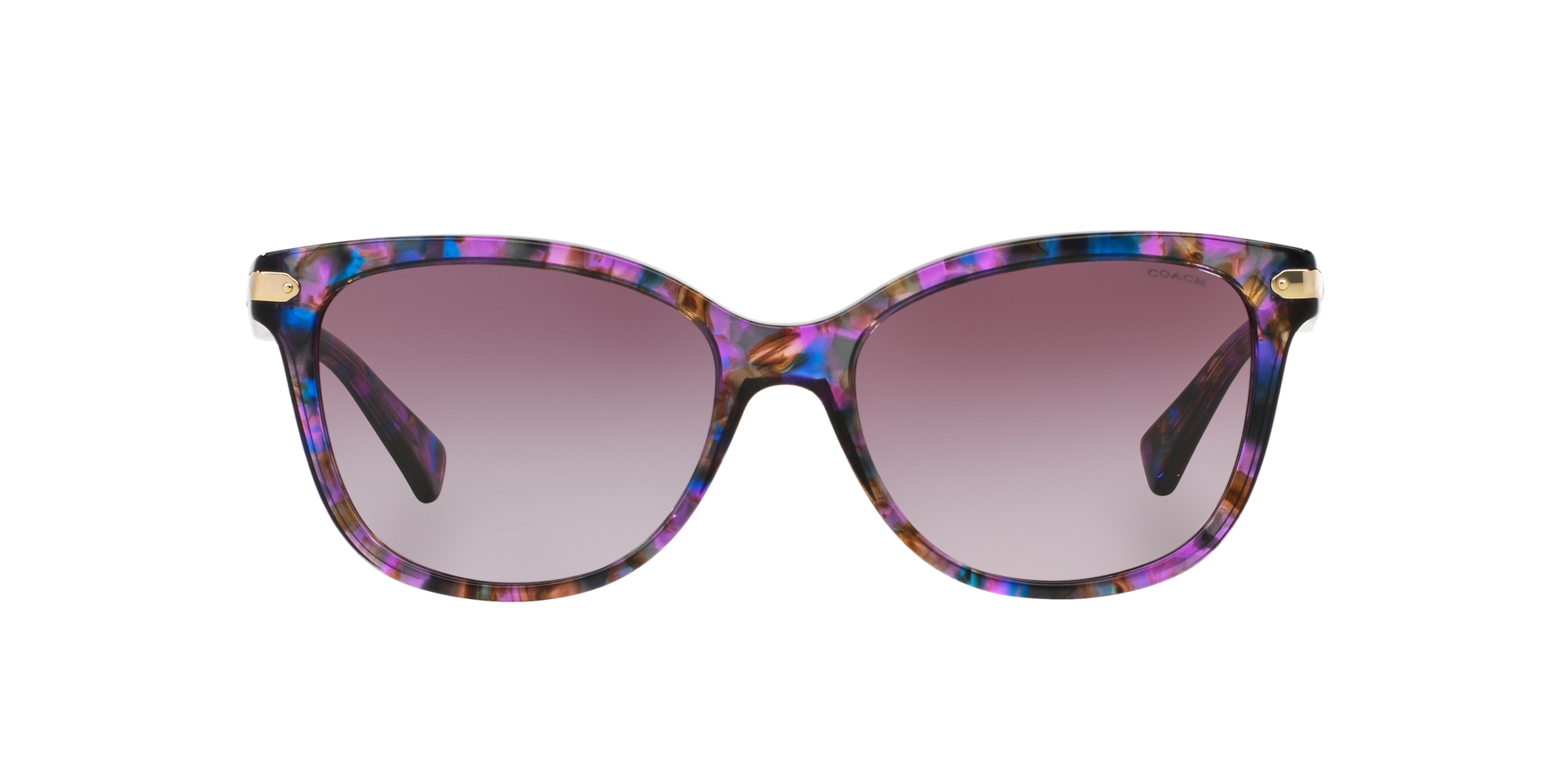 Coach HC8132 Purple Confetti Tortoise